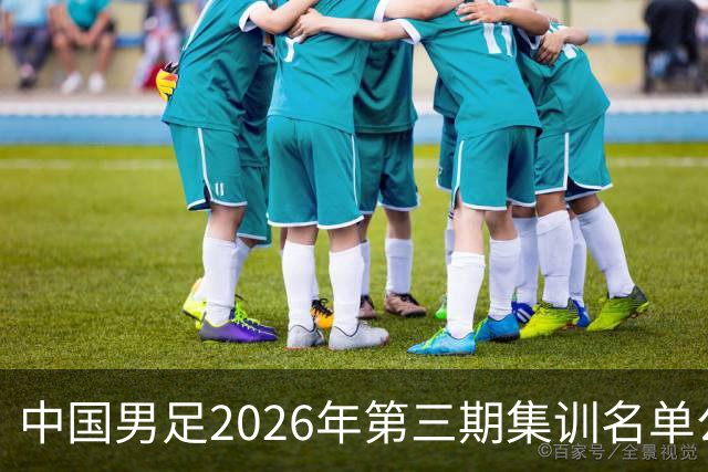 中国男足2026年第三期集训名单公布 武磊回归