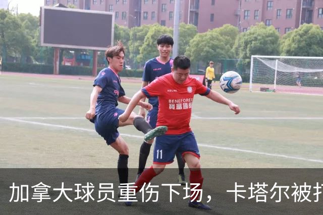 加拿大球员重伤下场，卡塔尔被打爆，“输球又输人”