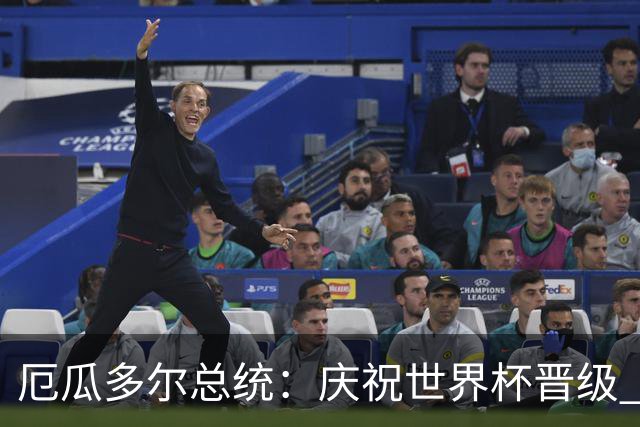 厄瓜多尔总统：庆祝世界杯晋级 全国放假一天