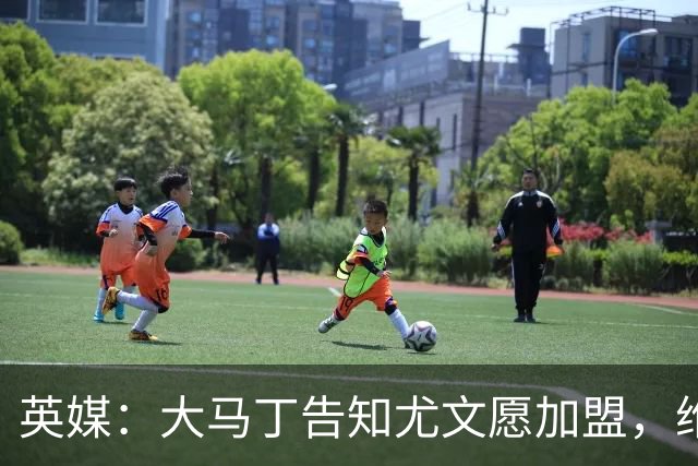 英媒：大马丁告知尤文愿加盟，维拉要价1000万欧至1500万欧